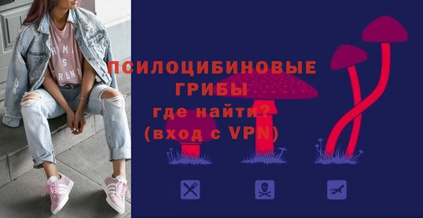 гидра Алзамай