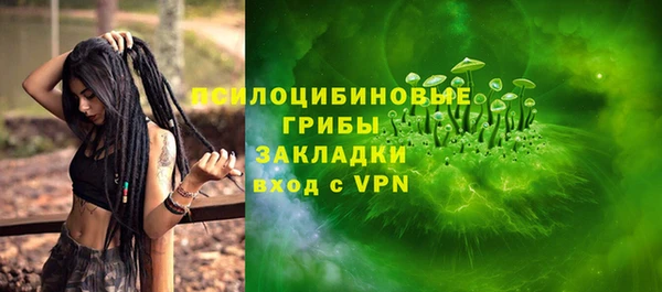 гидра Алзамай